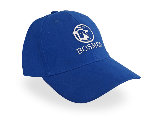 cap_2.png