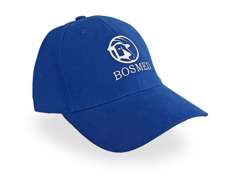 cap_2.png
